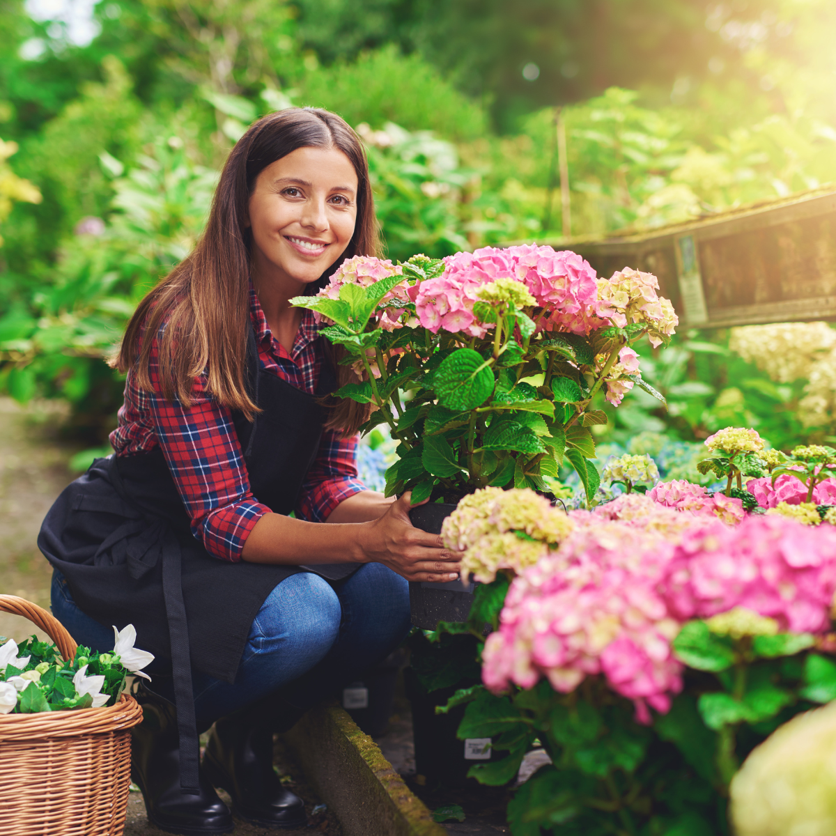 Gardening Essentials