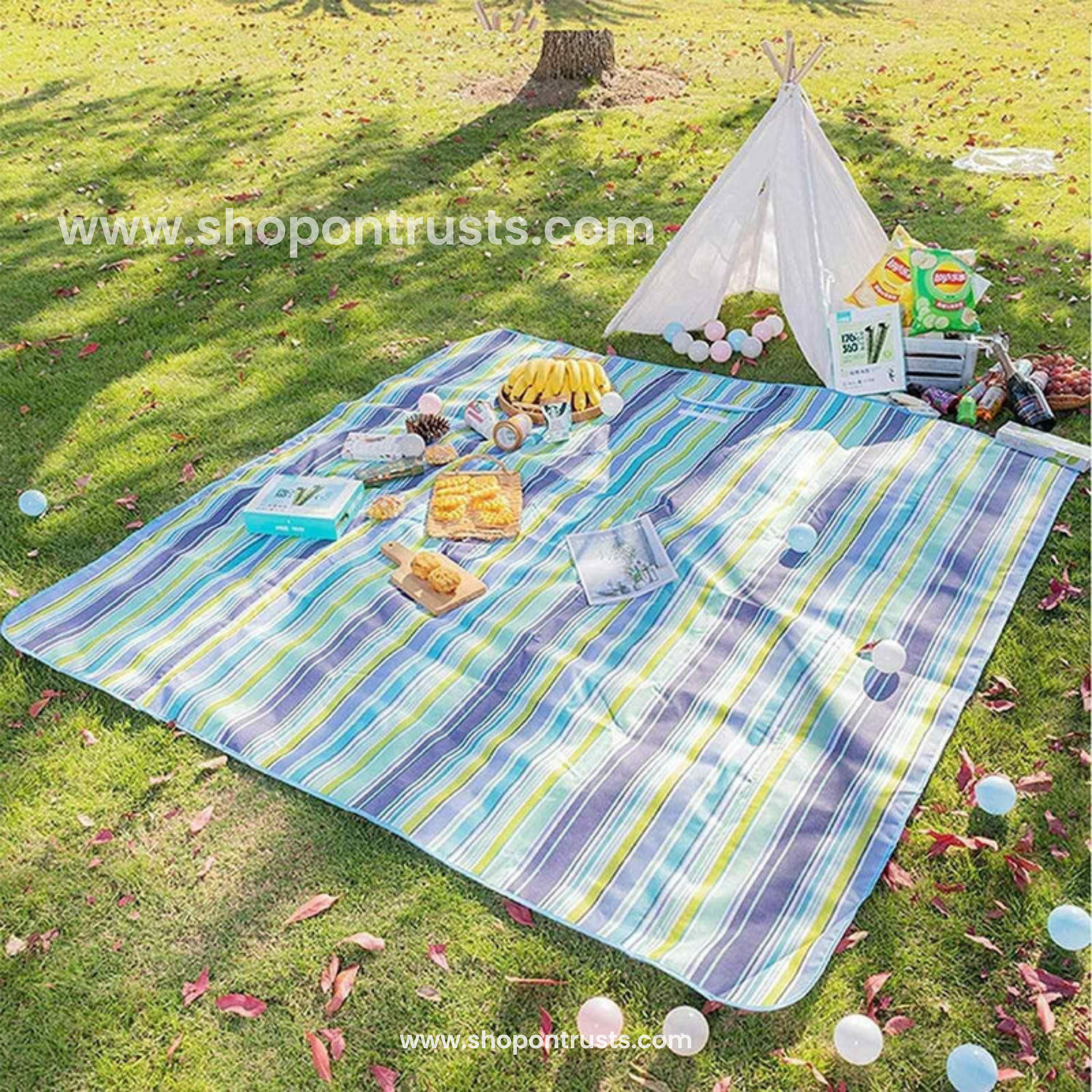 Washable & Foldable Picnic Mat